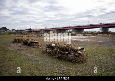 TAMAGAWA, KAWASAKI - 15 octobre 2019 : Destruction laissé par le typhon Hagibis Tamagawa dans la rivière. Banque D'Images