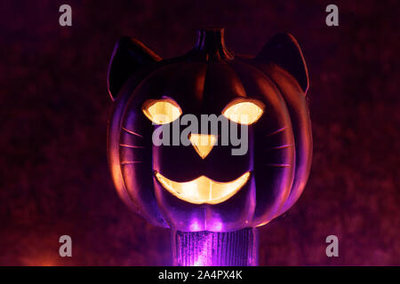 Halloween Citrouille chat sculpté rougeoyant dans le noir Banque D'Images
