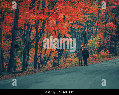 Vieux couple en train de marcher sur la route avec de superbes arbres au cours de l'automne au Canada Banque D'Images