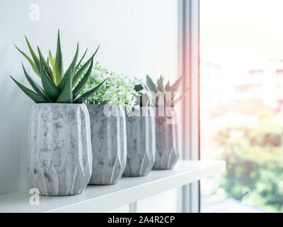 Pots en béton style minimaliste. Cactus vert, de fleurs blanches et de plantes succulentes en béton géométrique moderne sur les semoirs neart étagère en bois la fenêtre g Banque D'Images