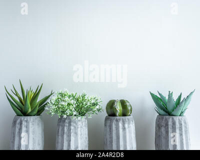 Pots en béton style minimaliste. Cactus vert, de fleurs blanches et de plantes succulentes en béton géométrique moderne sur les semoirs plateau en bois isolé sur blanc Banque D'Images