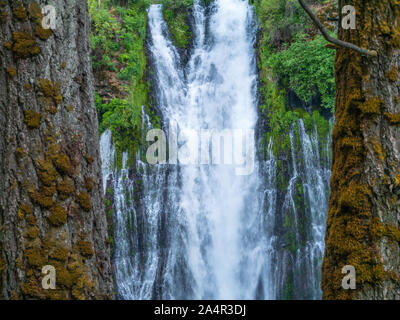 McArthur-Burney Falls Memorial State Park Banque D'Images