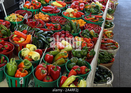 Ecologic, légumes cultivés naturelles. Bio, poivre. Fond de légumes naturels écologiques. Banque D'Images