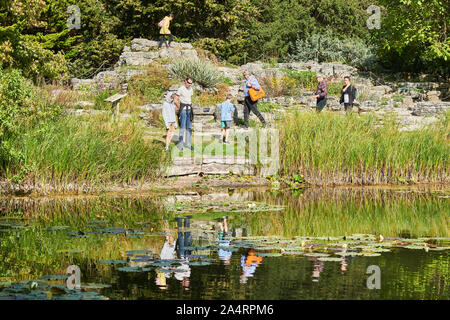 Les visiteurs dans le jardin à côté du lac dans le jardin botanique de l'université de Cambridge, en Angleterre, sur une journée ensoleillée Banque D'Images