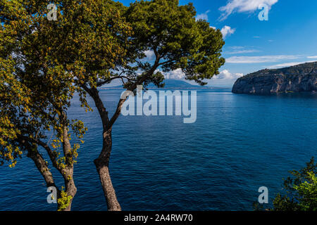 Le Vésuve vu à travers les arbres de Sorrento Banque D'Images