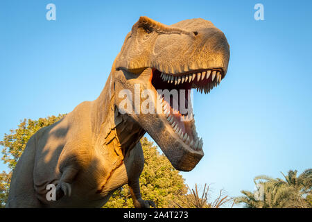 Tête de dinosaures dans un parc d'attractions, un musée historique. Banque D'Images