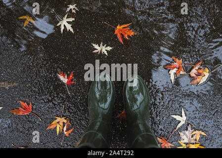 Les pieds dans des bottes en caoutchouc vert olive debout dans une flaque d'eau avec les feuilles tombées. Banque D'Images