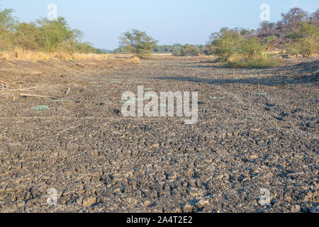 Les plaines sèches de la rivière Limpopo dans le nord du Parc National Kruger en Afrique du Sud libre de droit au format paysage with copy space Banque D'Images