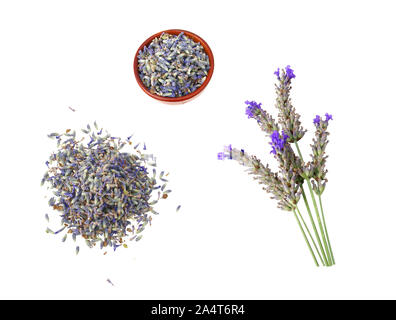 Les fleurs de lavande séchées, sur tige, ou en vrac. Fond blanc Banque D'Images