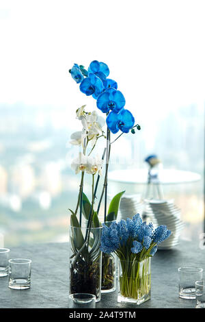 Orchidées bleu et blanc dans un vase sur la table, un magnifique arrangement de fleurs au bureau Banque D'Images