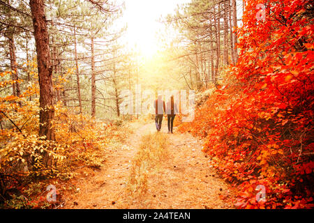 Couple portée dans les vêtements de style automne pulls air de famille qui traverse le paysage d'automne. Feuillage jaune couverte de forêt. Marche d'automne outdo Banque D'Images