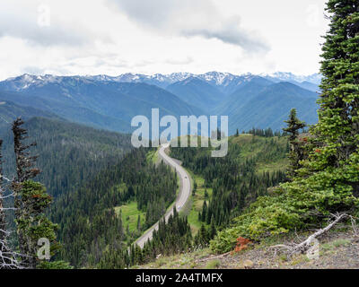 La vue de près de la crête de l'ouragan site de l'Olympic National Park, Washington, USA. Banque D'Images