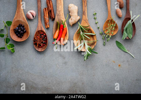 Divers des épices et fines herbes dans des cuillères en bois. Mise à plat ingrédients épices poivre, piment ,rosemarry, le thym, l'anis étoilé, feuilles de sauge et basilic Banque D'Images