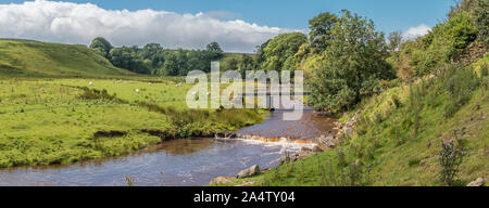 Mellwaters Sleightholme Beck, de l'Est, l'été, Bowes UK Panorama Banque D'Images