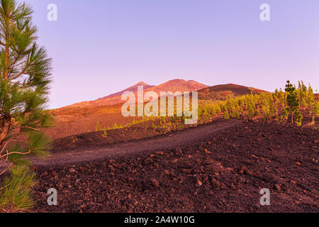 Volcan Teide et le Pico Viejo, le vieux pic rouge au crépuscule après le coucher du soleil vu de la montagne de Samara, Tenerife, Canaries, Espagne Banque D'Images