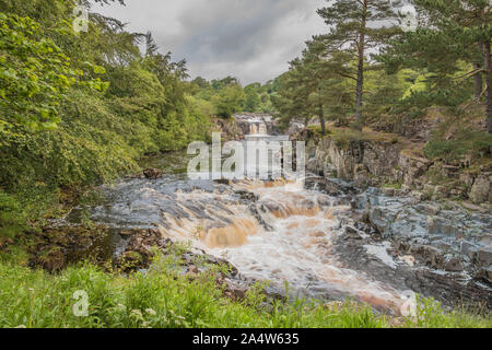 Solstice d'été 2019 à faible vigueur Cascade, la région de Teesdale, UK Banque D'Images