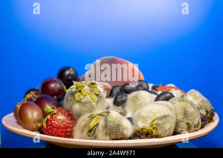 Les fruits et les baies dans une tasse et moisis pourris Banque D'Images