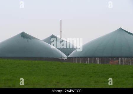 16 octobre 2019, le Brandebourg, Bernau / Ot Birkholz : Les toits verts de l'usine de biogaz de Berliner Stadtgüter Nord KG briller sous la pluie. Le lisier de vache est traitée ici pour produire de l'électricité. Photo : Soeren Stache/dpa-Zentralbild/ZB Banque D'Images