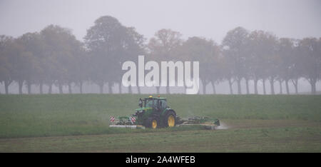 16 octobre 2019, le Brandebourg, Bernau/Ot Birkholz : Un agriculteur durs dans une pluie battante avec une faucheuse attelée au tracteur sur le terrain dans le district de Barnim. Photo : Soeren Stache/dpa-Zentralbild/ZB Banque D'Images