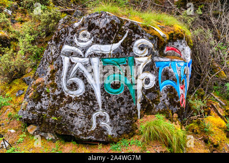 Ancien texte tibétain gravé sur dalles de pierre dispersés sur les terres d'Grass-Covered naturel Yading Conservation du Sichuan, Chine Banque D'Images
