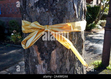 Ruban jaune attaché autour d'un arbre en Port Sunlight England UK Banque D'Images