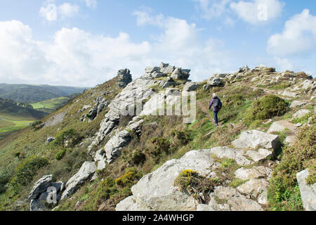 Femme marchant le long d'un randonneur Ridge dans la Vallée des Roches à Castle Rock, l'Exmoor, Devon Banque D'Images