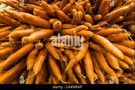 Close up sur les carottes non lavées à vendre dans un supermarché, les aliments crus des textures d'arrière-plan Banque D'Images
