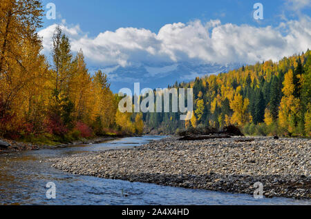 La couleur de l'automne, Elk River, Vancouver, British Columbia, Canada, Banque D'Images