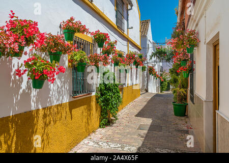 La belle Estepona, little et fleuri de la province de Malaga, Espagne. Banque D'Images