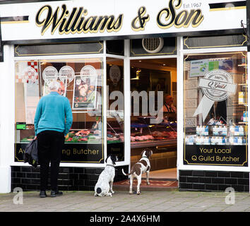 Deux Spaniels attendent leur propriétaire en dehors Williams & Fils boucherie shop à Wadebridge Banque D'Images