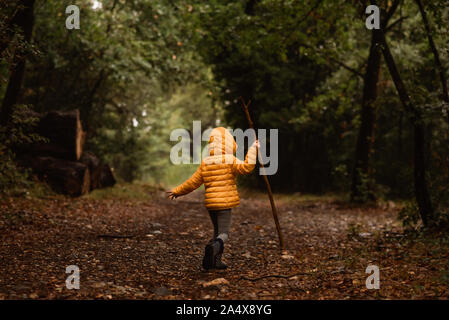 Jeune avec stick promenades en forêt sous la pluie dans la région de Yellow Jacket Banque D'Images