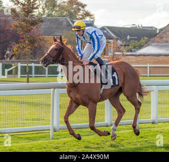 Came Jockey Hardie sur l'Astrophysique, formés par Lynn Siddall, avant le RacingTV racingtv Suivre sur Twitter @Handicap - Musselburgh - 14/10/2019 Banque D'Images