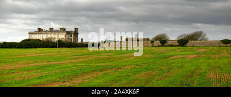 Vue panoramique de ghotic immeuble sur terrain irlandais vert entouré de mur rocheux et près de clôture couverture crochet tête en Irlande, comté de Wexford Banque D'Images