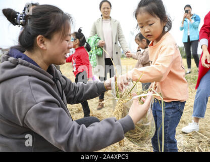 Xuzhou, Jiangsu, Chine. 17 Oct, 2019. Jiangsu, Chine-Octobre 16, 2019 est la Journée mondiale de l'alimentation. Dans le jardin d'enfants de l'école primaire expérimentale Huaiyin dans Xuzhou, Jiangsu Province, l'activité de ''chérir les céréales de moi'' a été réalisée. Les enfants sont entrés dans le domaine de ramasser le riz les oreilles, savoir les cinq céréales, de l'expérience les difficultés des agriculteurs cultiver des céréales, de cultiver et de chérir le grain de moi, et prendre de bonnes habitudes alimentaires à partir de maintenant. Crédit : SIPA Asie/ZUMA/Alamy Fil Live News Banque D'Images