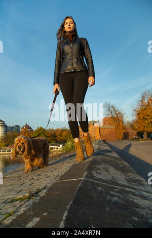 Femme avec American Cocker Spaniel) promenades en vieille ville européenne Banque D'Images