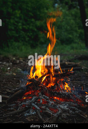 Feu de forêt en vert sur fond noir. Les petites flammes de feu romantique. Feu de bois. Couleur lumineuse. Le voyage d'aventure. Orange clair cheminée brûler à travers le bois. Mobile verticale d'écran conception Banque D'Images