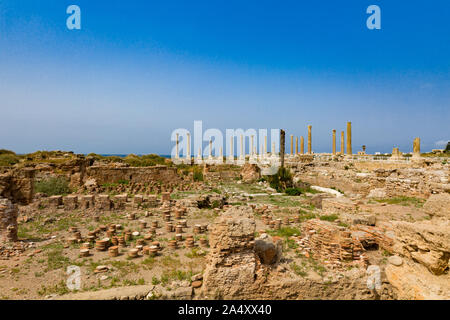 Ruines romains sur des pneus dans le sud du Liban Moyen Orient Banque D'Images