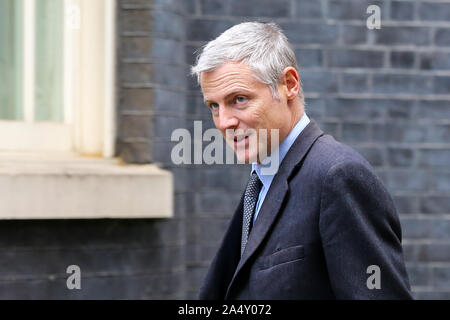 Londres, Royaume-Uni. 16 Oct, 2019. Zac Goldsmith, Ministre d'État à l'environnement, de l'Alimentation et des affaires rurales et du Ministère pour le développement international arrive à Downing Street pour assister à la réunion hebdomadaire du cabinet avant le sommet de l'Union européenne les 17 et 18 octobre. Le Conseil européen se penchera sur un certain nombre de questions importantes, y compris Brexit. Credit : SOPA/Alamy Images Limited Live News Banque D'Images