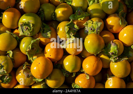 Arrière-plan de l'alimentation. Le kaki, entassés, scintille au soleil. Banque D'Images