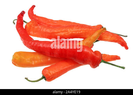 Ensemble de gousses de piment rouge frais pile. Isolé sur un plan macro studio blanc Banque D'Images
