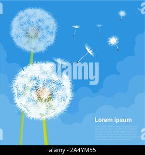 Graines de pissenlit souffle loin sur le vent Illustration de Vecteur