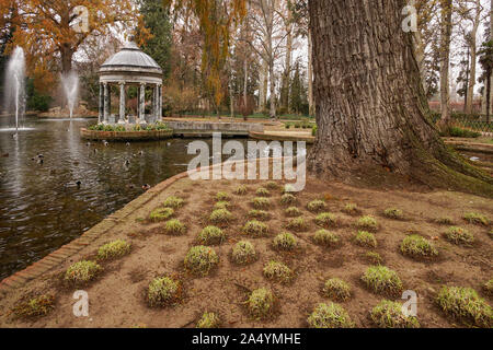 Chinesco jardin. Jardins d'Aranjuez, Madrid. Espagne Banque D'Images