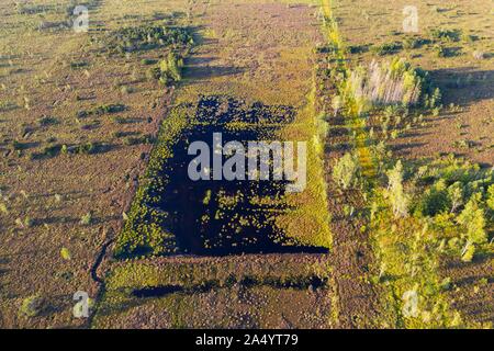 Moor renaturation, mouiller dans le Konigsdorfer Moor près de Konigsdorf, vue aérienne, Tolzer Terre, Haute-Bavière, Bavière, Allemagne Banque D'Images