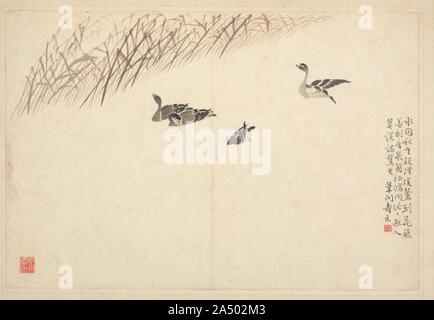 Album de la Calligraphie et peinture, 18e siècle. L'artiste Bian Shoumin est connu pour sa description d'oies sauvages, de l'eau, les marges et les roseaux. Les oiseaux migrateurs en automne et hiver évoqué, dans l'esprit de l'intelligentsia chinoise, un temps de se séparer et de douleur. Banque D'Images