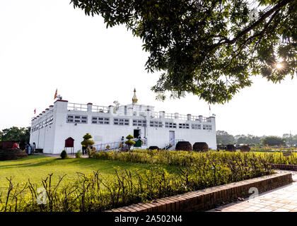 Maya saint Temple Dev à Lumbini. Le lieu de naissance du Seigneur Gautama Buddha Banque D'Images