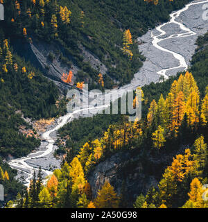 Rivière sauvage et des mélèzes dans le Val Cluozza dans le Parc National Suisse Banque D'Images