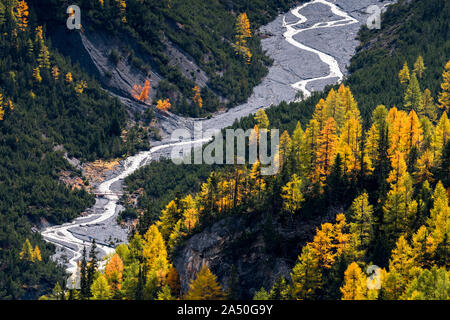 Rivière sauvage et des mélèzes dans le Val Cluozza dans le Parc National Suisse Banque D'Images