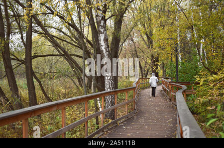 Femme âgée marchant dans le parc. Pont en bois et plancher avec rambarde. Automne temps ensoleillé, le bouleau jaune feuilles de forêt. Vieillesse active nordique Banque D'Images