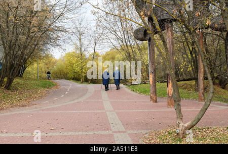 Couple de personnes âgées Femmes marchant dans le parc ensemble. Tile road. Le temps ensoleillé d'automne, feuilles de bouleau jaune forêt. Vieillesse active la marche nordique Banque D'Images