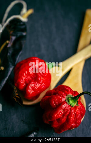 Poivre les plus chauds dans le monde. Trinidad Scorpion Butch, des milliers de fois plus épicé de habanero. Sur fond d'ardoise noire, avec lumière naturelle. Banque D'Images